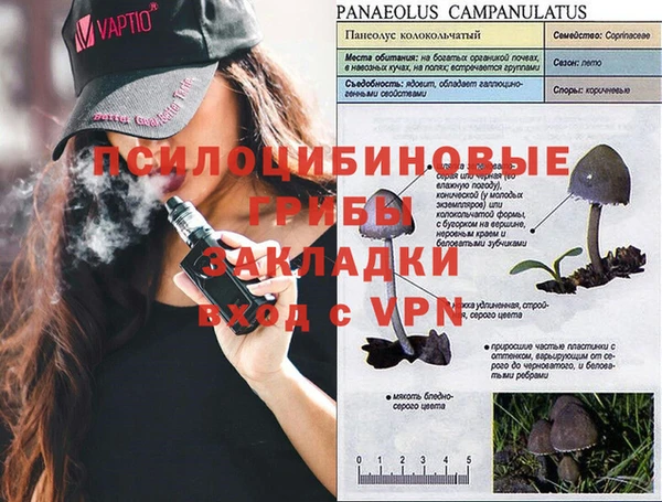 крисы Фурманов